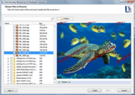 Disk Recovery Wizard screenshot